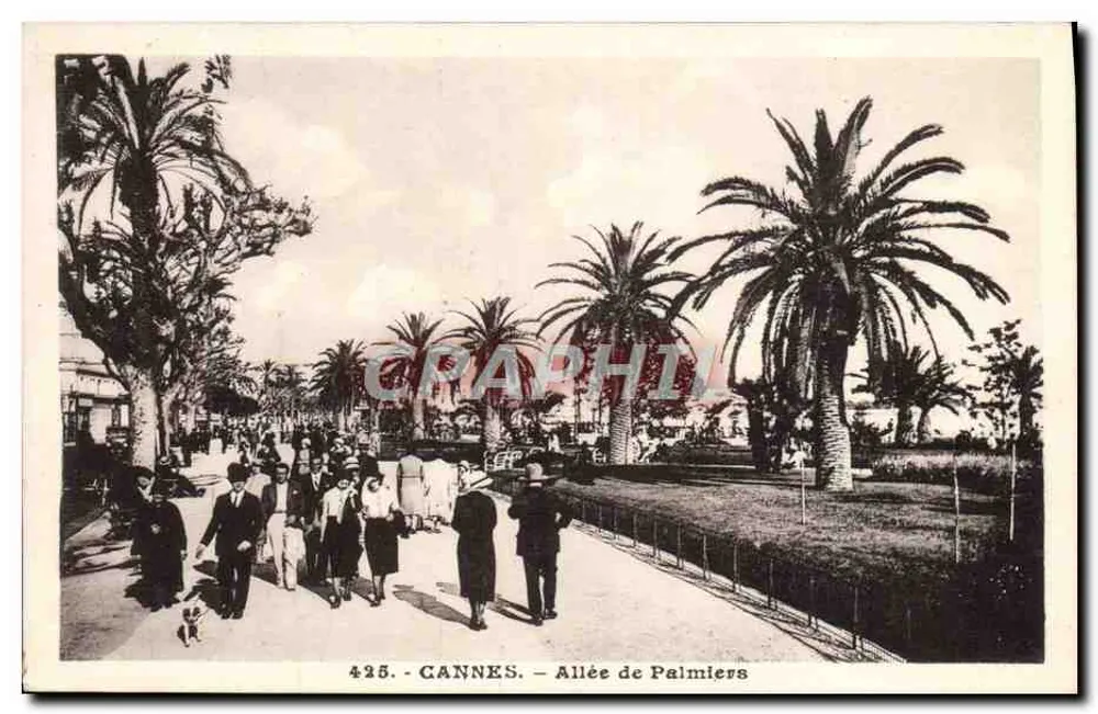 CANNES — Avenida dos Palmeiras — J. Gilletta e Cie, Nice - Frente