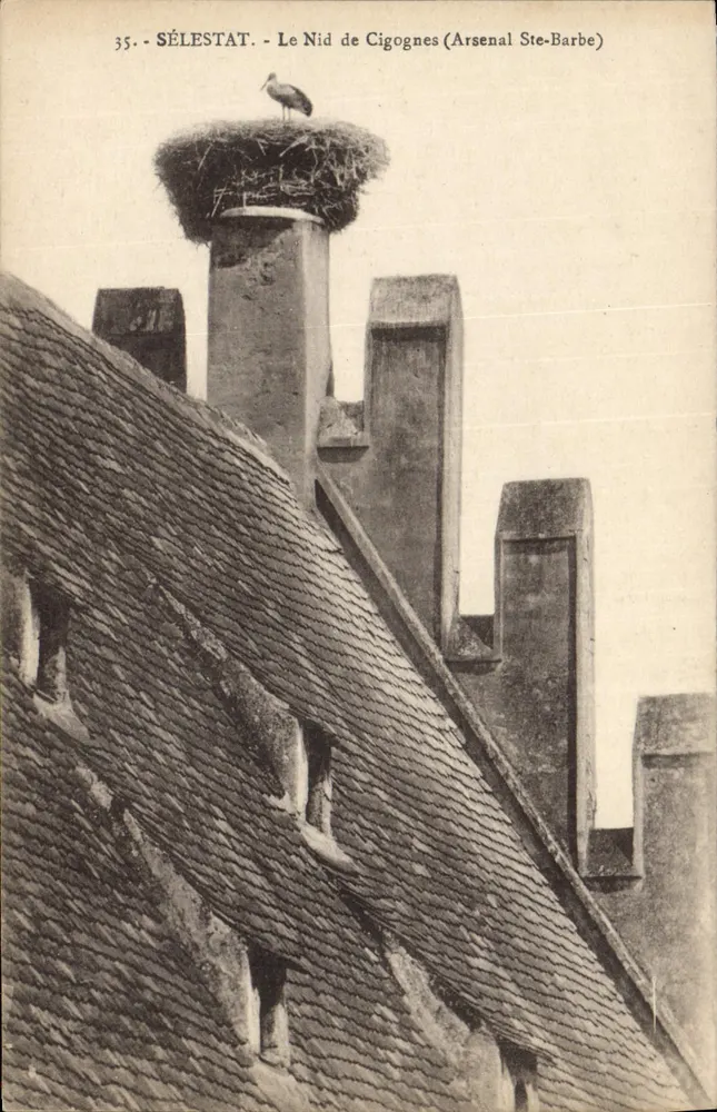 SÉLESTAT — Das Storchennest (Arsenal Ste-Barbe) - Vorderseite