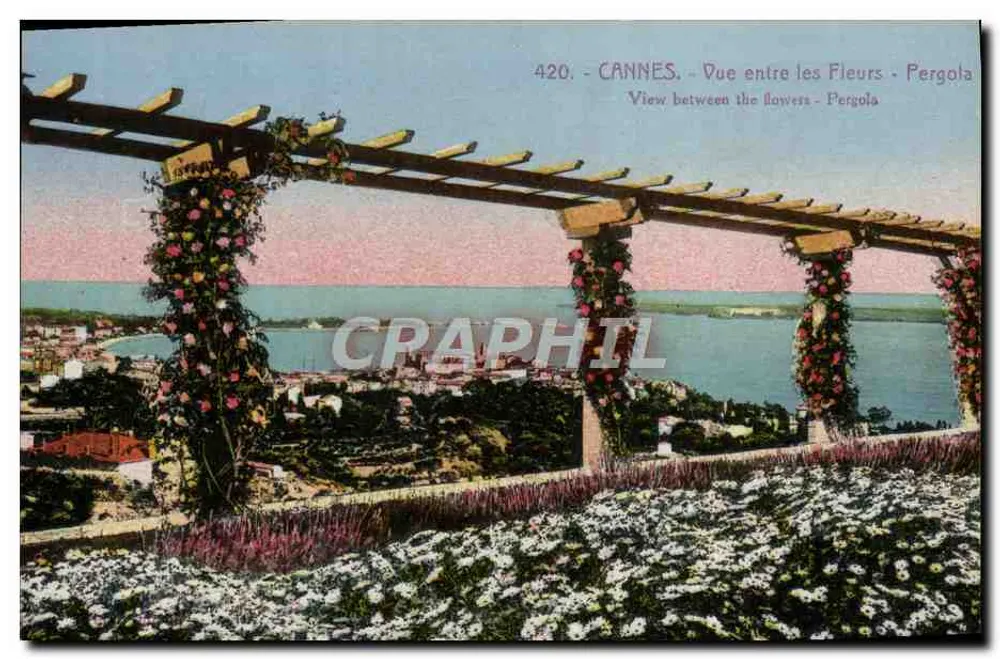 CANNES — Vista entre as flores — Pergola — J. GILLETTA e Cr. Édit. Phot., Nice, n°420 - Frente