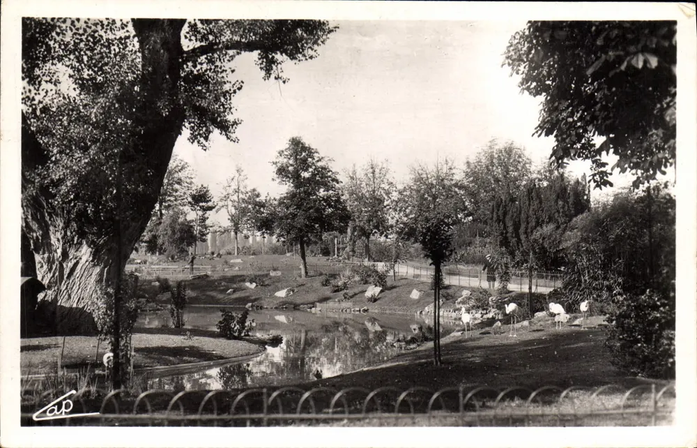 Die Parks und der neue Schwanenteich — Vichy — Verlag C.A.P. n° (49) - Vorderseite
