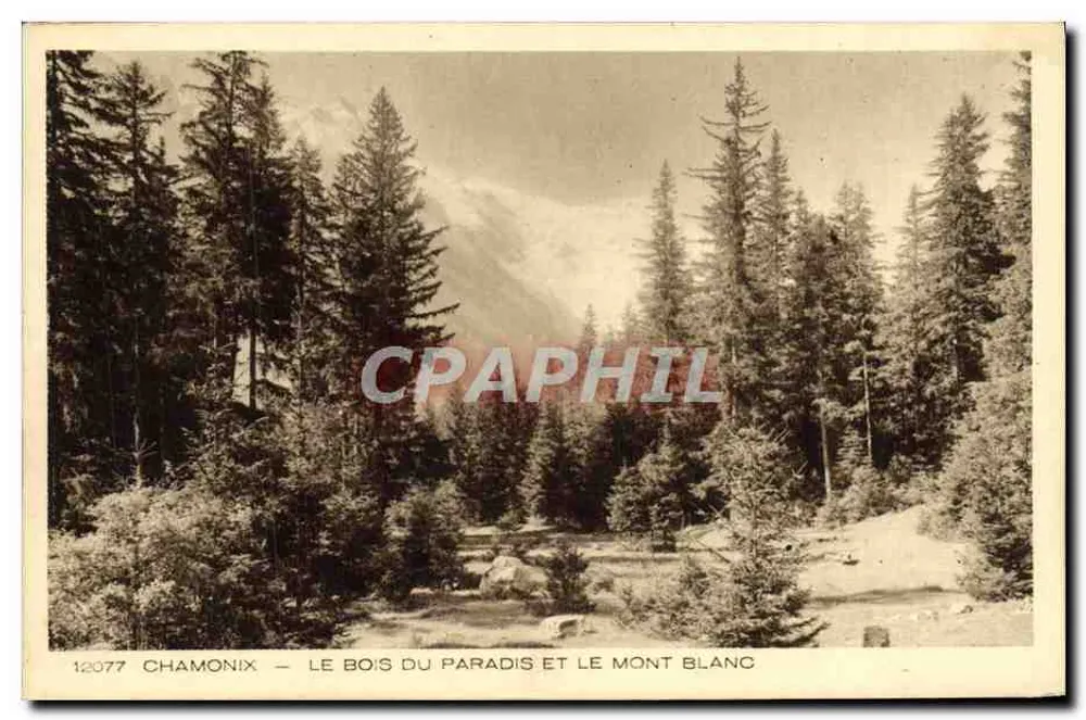 Chamonix — Der Bois du Paradis und der Mont Blanc — Imp. Edit. BRAUN & Cie, Chamonix - Vorderseite