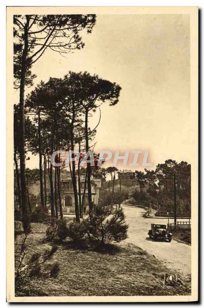 La Baule-les-Pins — Ansicht des Waldes — Kunstausgaben AVON, Paris - Vorderseite