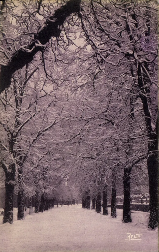 Morez du Jura — Frost-Effekt — Die Promenade — Foto René - Vorderseite