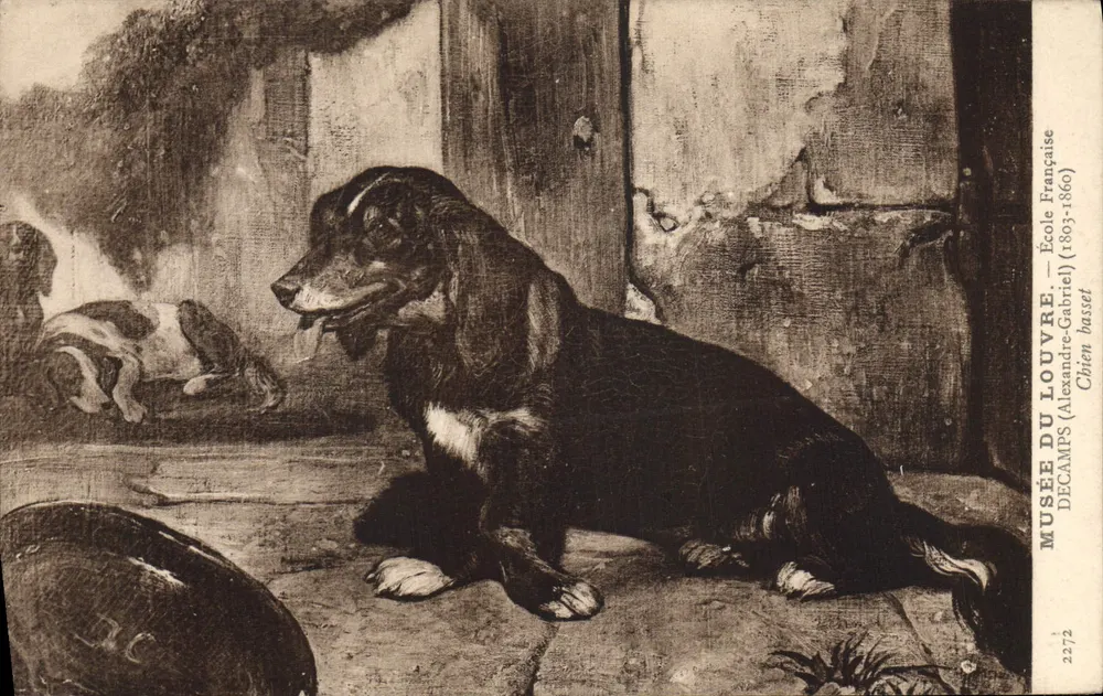 Basset-Hund — Louvre-Museum — Französisch (Alexandre-Gabriel) (1803-1860) — Nr. 2272 - Vorderseite