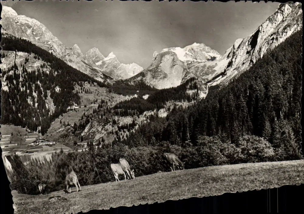 Pralognan-la-Vanoise — Massiv der Vanoise — H. 1430 m — Weiden - Vorderseite