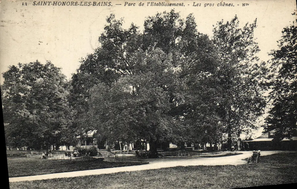 Saint-Honoré-les-Bains — Park des Einrichtungen — Die großen Eichen — NP - Vorderseite