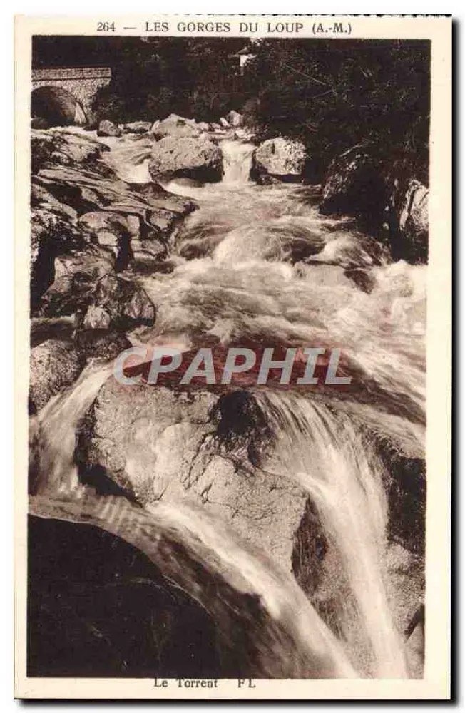 Die Gorges du Loup (A.M.) — eingeschlossener Bach zwischen Felsen — Verlag F.L. n° 264 - Vorderseite