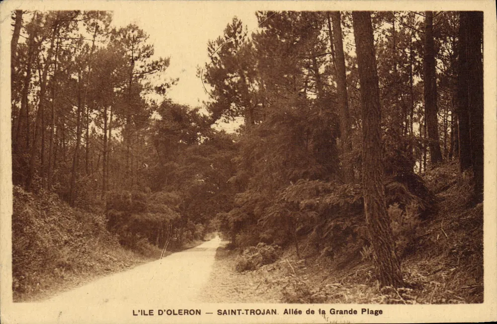 Die Insel Oléron — Saint-Trojan. Avenue der Grande Plage - Vorderseite