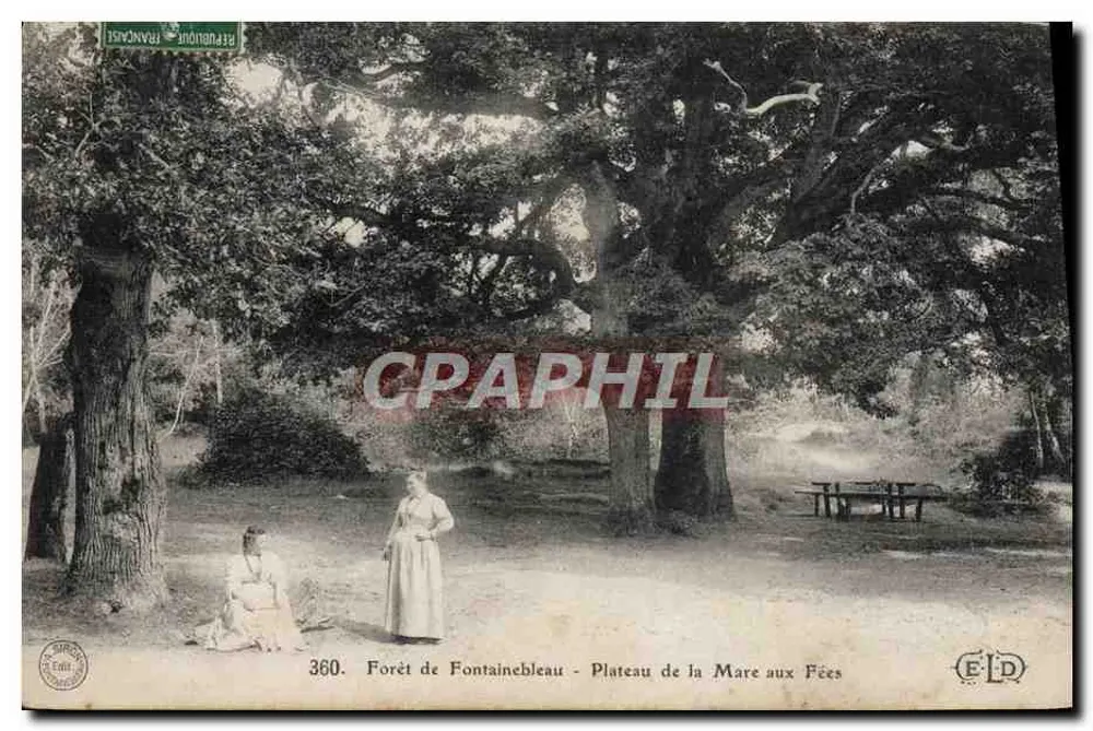 Wald von Fontainebleau - Plateau de la Mare aux Fées — Verlag E.D. n°360 - Vorderseite