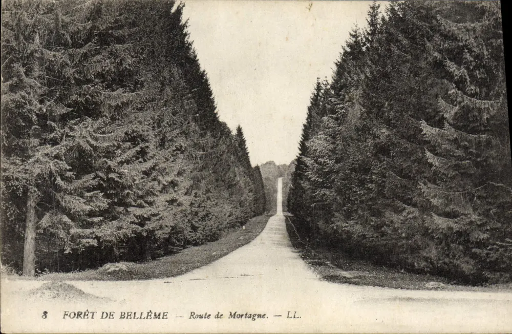 Woud van Bellême — Weg naar Mortagne — LL. - Voorkant