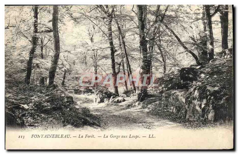 Fontainebleau — Die Wälder — Die Wolfsschlucht — LL. — n°113 - Vorderseite