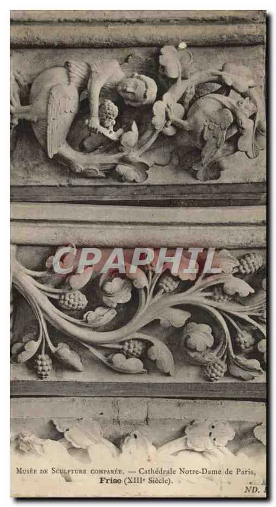 Catedral de Nossa Senhora de Paris — Frise do século XIII — Museu de Escultura Comparada - Frente