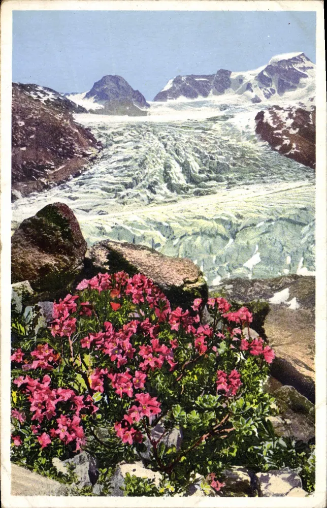 ग्रेनोबल — अल्प डी हुएज़ के ग्लेशियर का दृश्य — फोटोक्रोम, श्रृंखला 358, संख्या 1000 - आगे