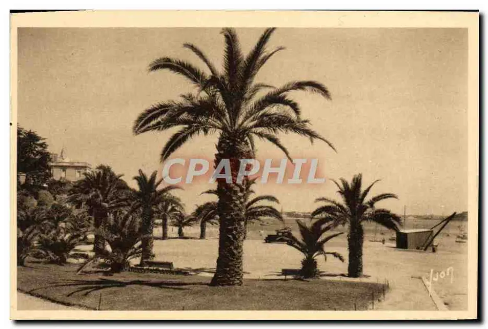 Dinard (Ille-et-Vilaine) — Praça dos Palmeiras — Les Editions d'Art Interdiale - Frente