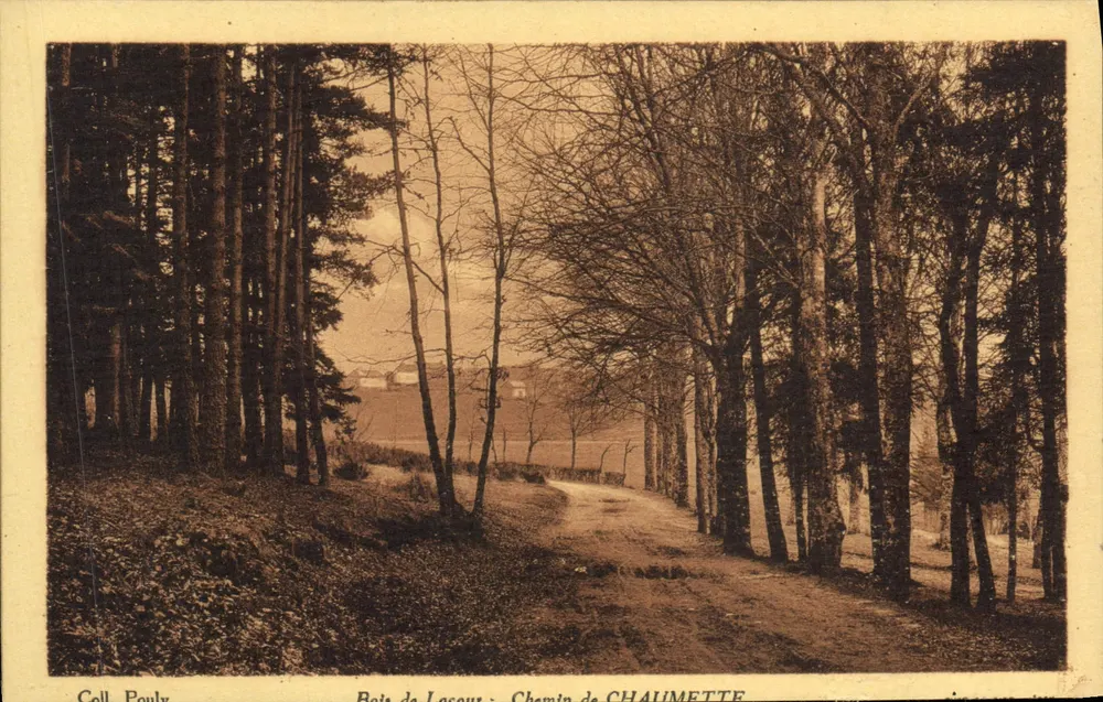 Bois de Laseout — Chemin de Chaumette — Coll. Pouly - Frente