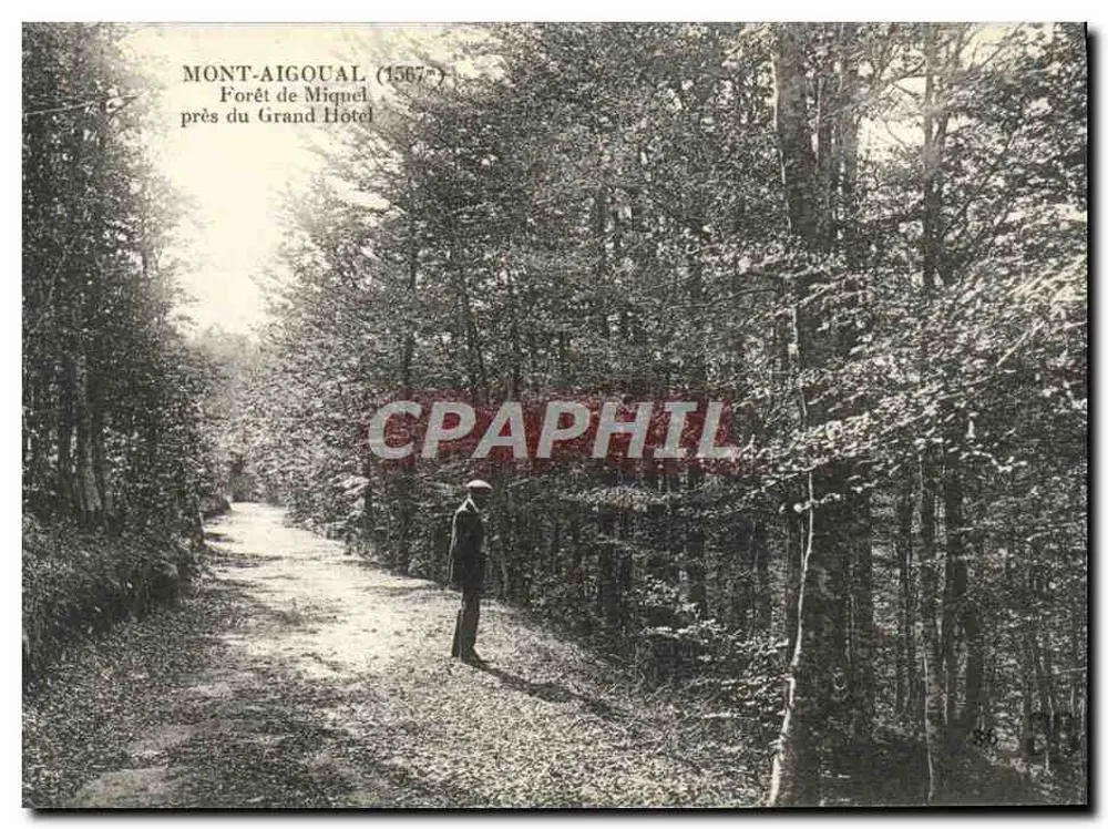 Mont-Aigoual (1567) — Forêt de Miquel nahe dem Grand Hotel — kein sichtbarer Verlag - Vorderseite