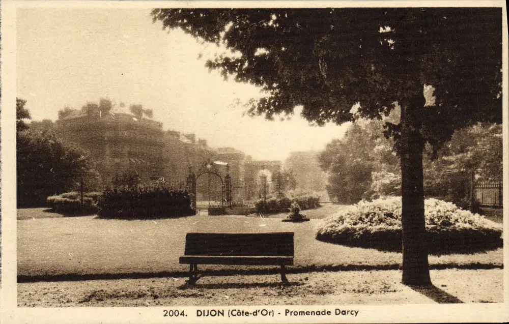 Dijon (Côte-d'Or) - Promenade Darcy — banc sous arbre, grille d'entrée en arrière-plan, éditeur E. Prozet, Dole - Frente
