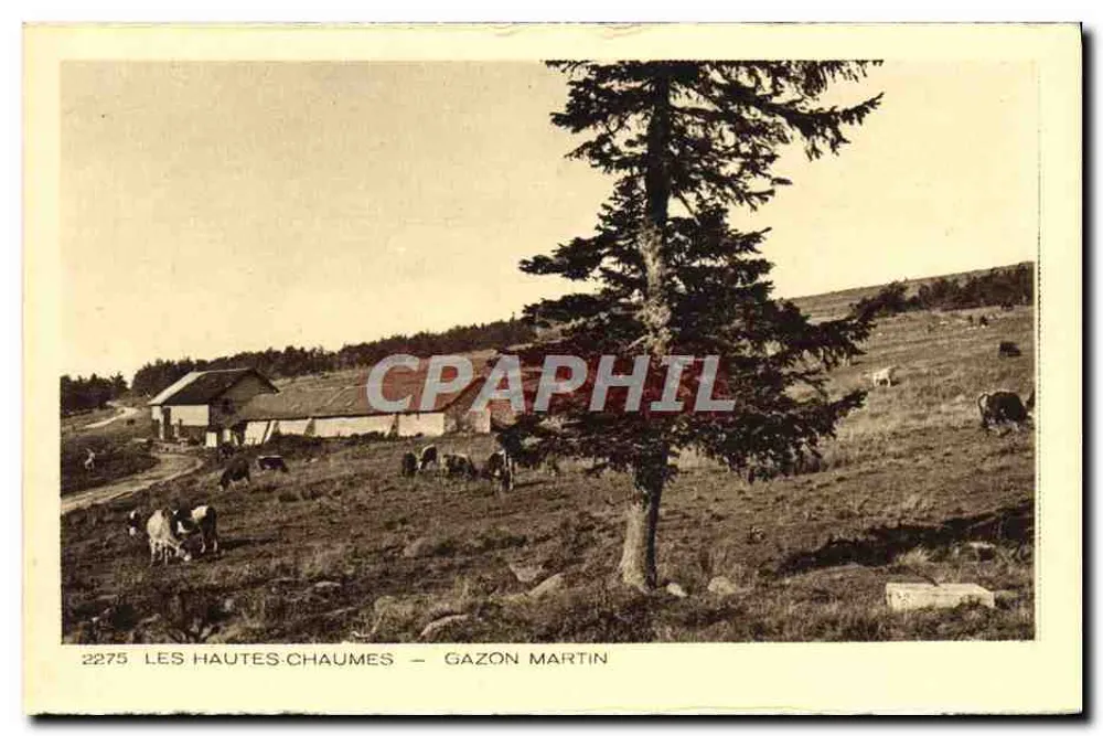 Les Hautes-Chaumes — Prado Martin — n°2275 - Anverso