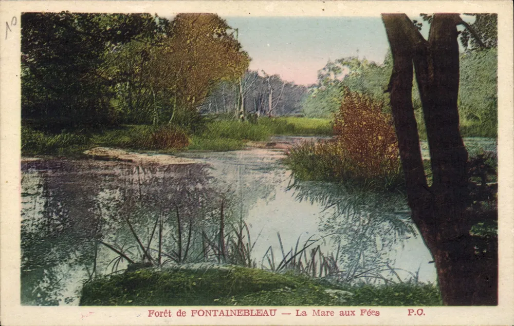 Forêt de FONTAINEBLEAU — La Mare aux Fées — P.O. - Vorderseite