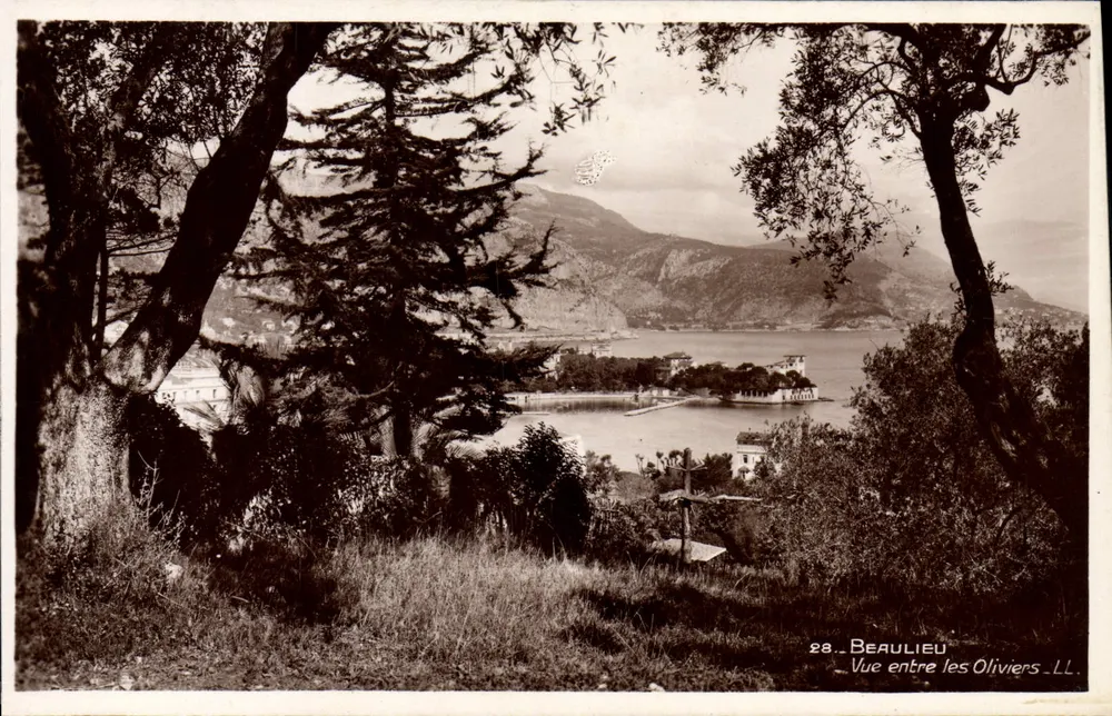 Beaulieu — Aussicht zwischen den Olivenbäumen — LL, n°28 - Vorderseite