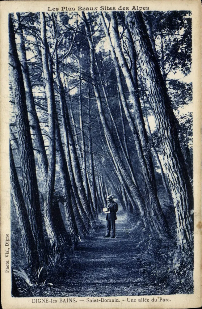 디그느레스뱅 - 생도미니 - 공원의 한 줄거리 - 사진 비알, 디그느 - 앞면