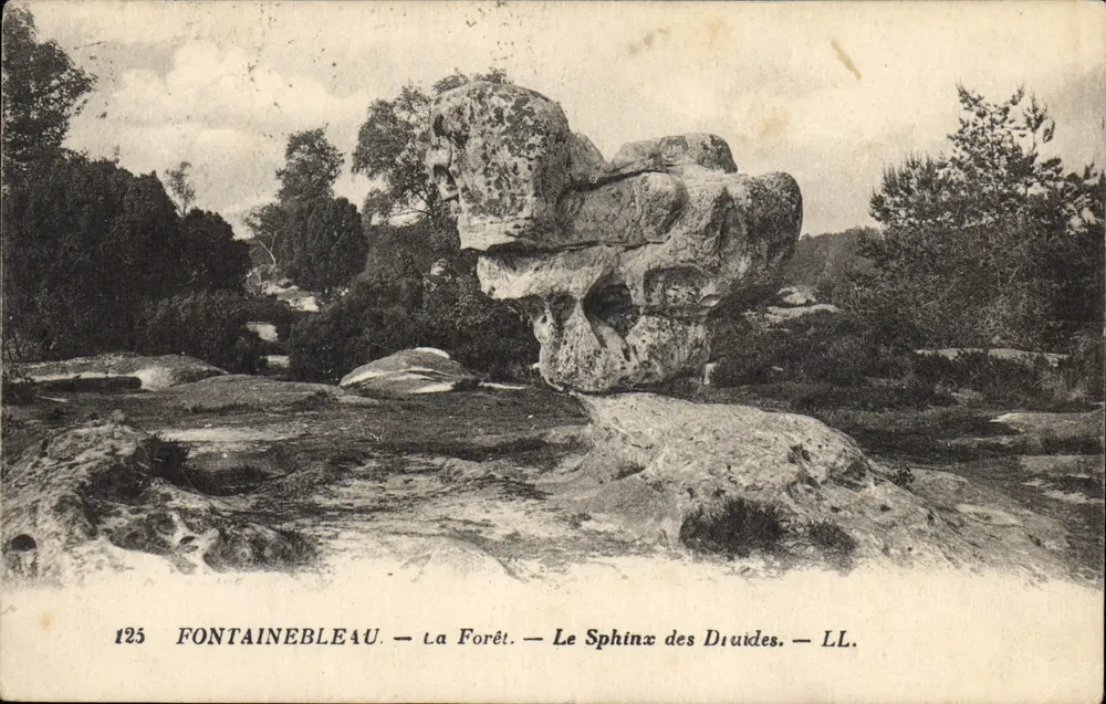 Fontainebleau — La Forêt — Le Sphinx des Druides — LL. — N° 125 - Recto