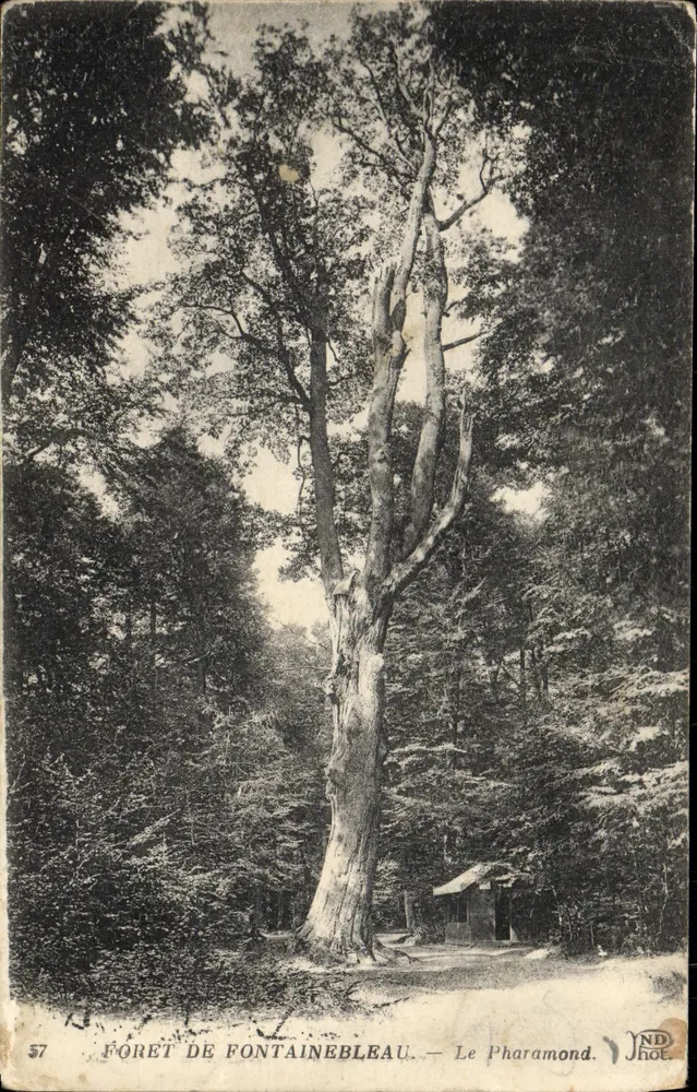 Floresta de Fontainebleau — Le Pharamond — NDH Phot. - Frente
