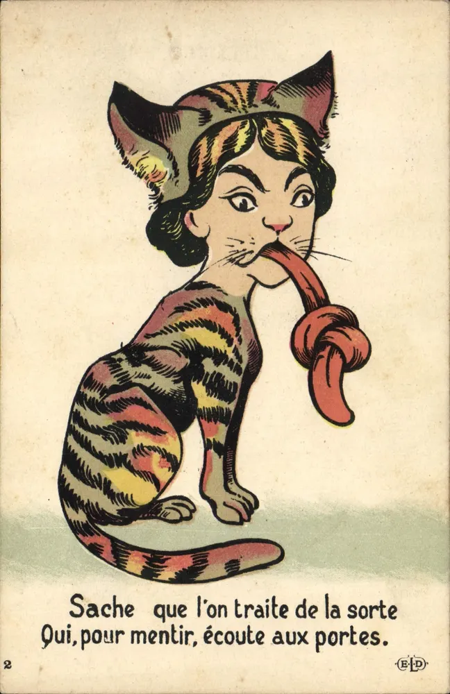 Gato felino — Sabedoria e mentira — E.D. n°2 - Frente