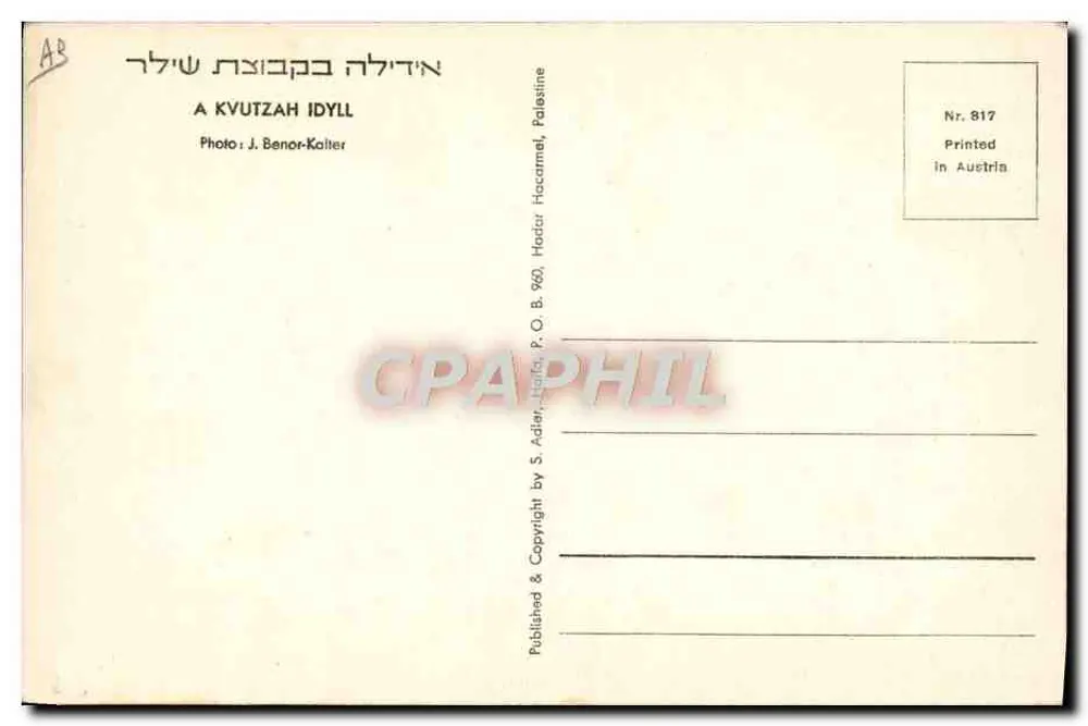 Ein Schäfer füttert Kühe — Hador Haacarmel, Palästina — Foto J. Benor-Kalter, Nr. 817 - Rückseite