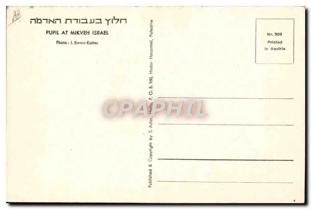 Schüler am Mikveh Israel — Palästina — Foto J. Benor-Kalter, Nr. 808 - Rückseite