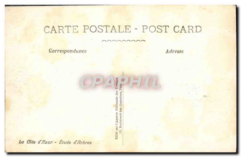 Floresta de pinheiros — Estudo de árvores — Editado pela Agência Nacional dos Capitons, Paris - Verso