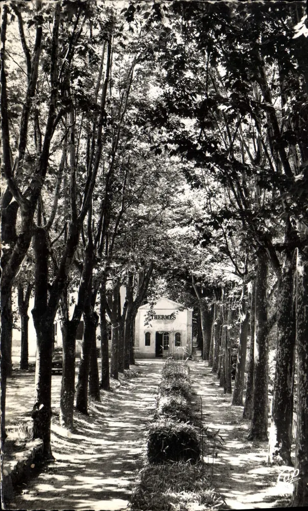 A passarela dos Termas — Greoux-les-Bains (Alta Provença) — Real-Photo dos Arts Photomécéniques - Frente