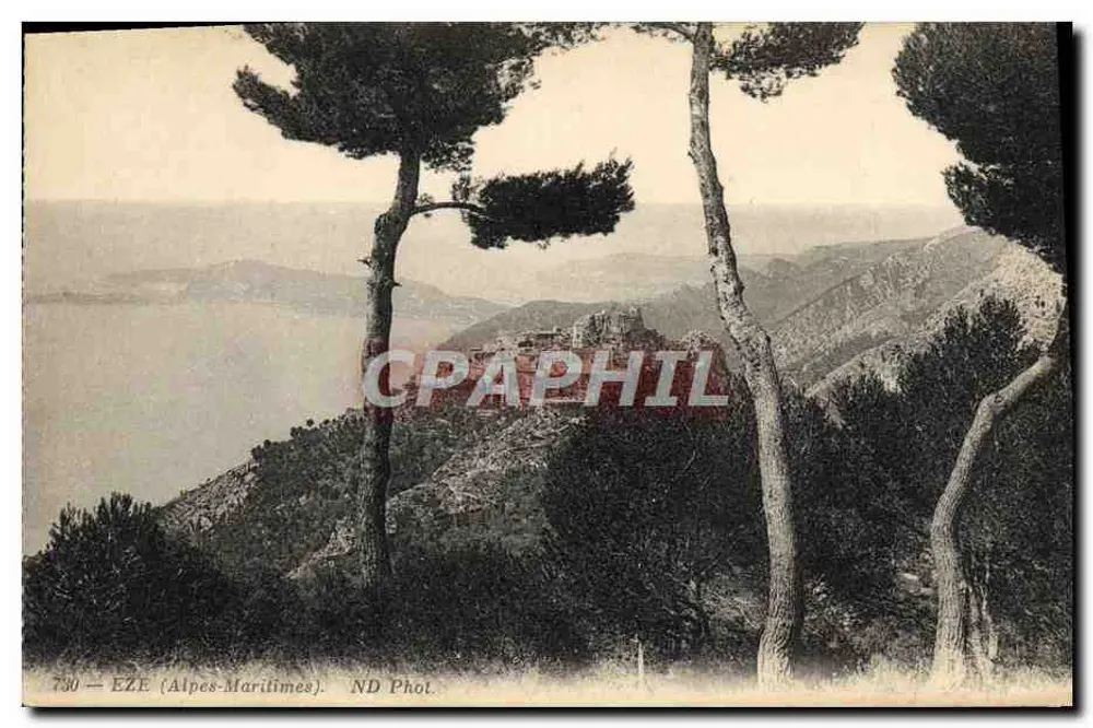 Eze (Alpes-Maritimes) — vista panorâmica com pinheiros — ND Fot. n° 730 - Frente