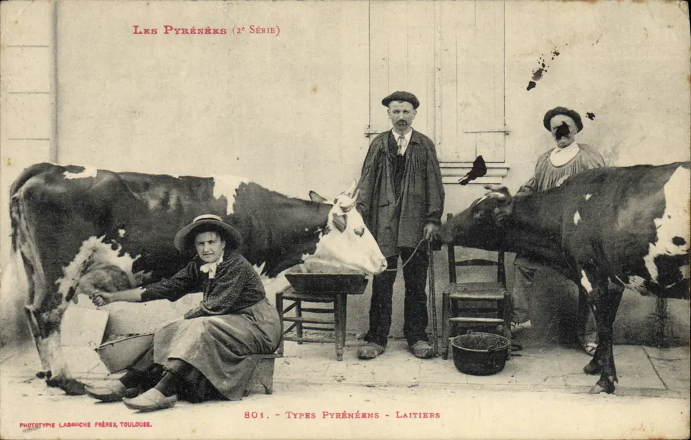 Les Pyrénées (2e Série) — Types Pyrénéens - Laitiers — Phototypie Labrauche Frères, Toulouse, n° 801 - Voorkant