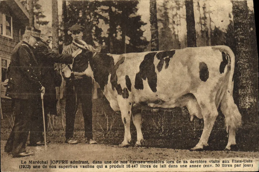 Le Maréchal Joffre admirant une vache modèle aux États-Unis — (1922) — éditeur non visible - Recto
