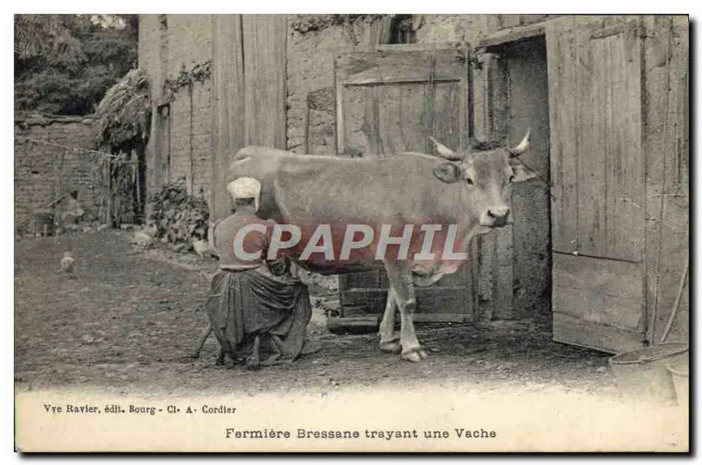 Fazendeira Bressane ordenhando uma vaca — Vve Ravlier, editor Bourg - Cl. A. Cordier - Frente