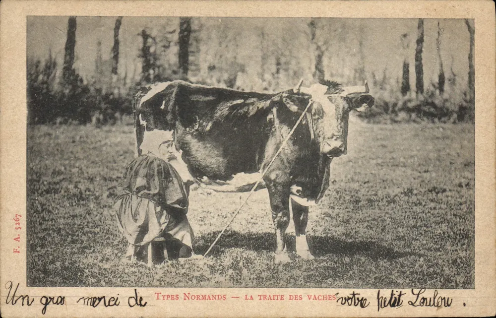 Tipos Normandos — A ordenha das vacas — F.A. 3267 - Frente