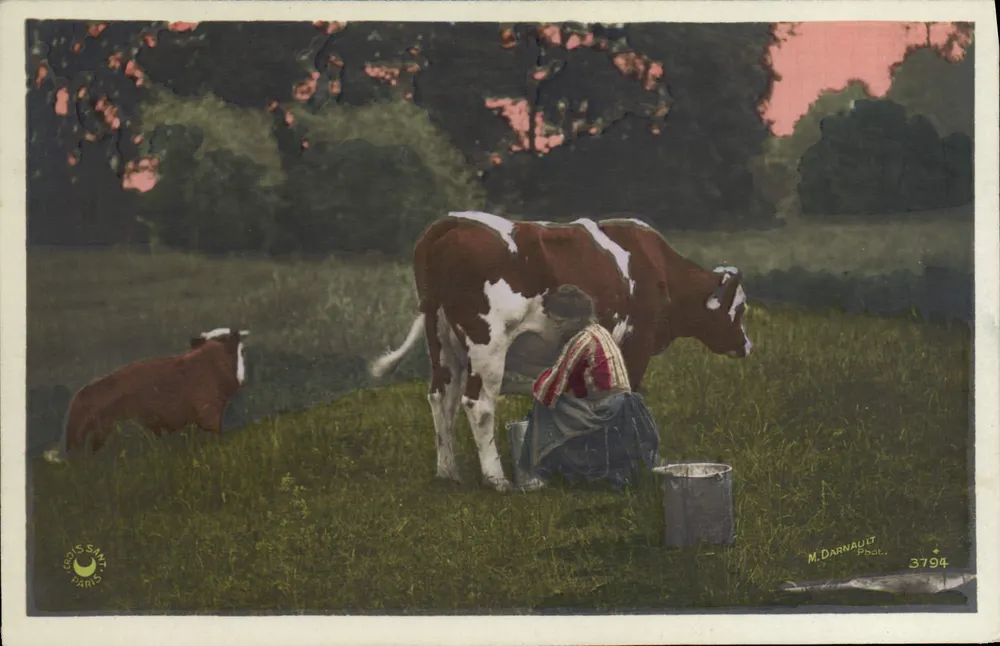 Paisagem pastoral com uma mulher que ordenha uma vaca — M. Darnault, Paris, n° 3794 - Frente