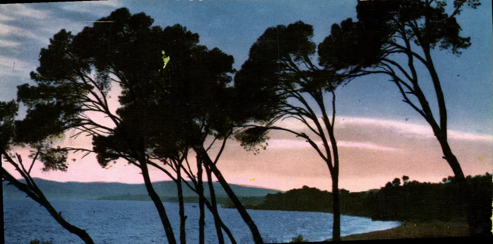 Paisagem de pinheiros à beira de um lago — Edições S.E.P.T. — NICE - Frente