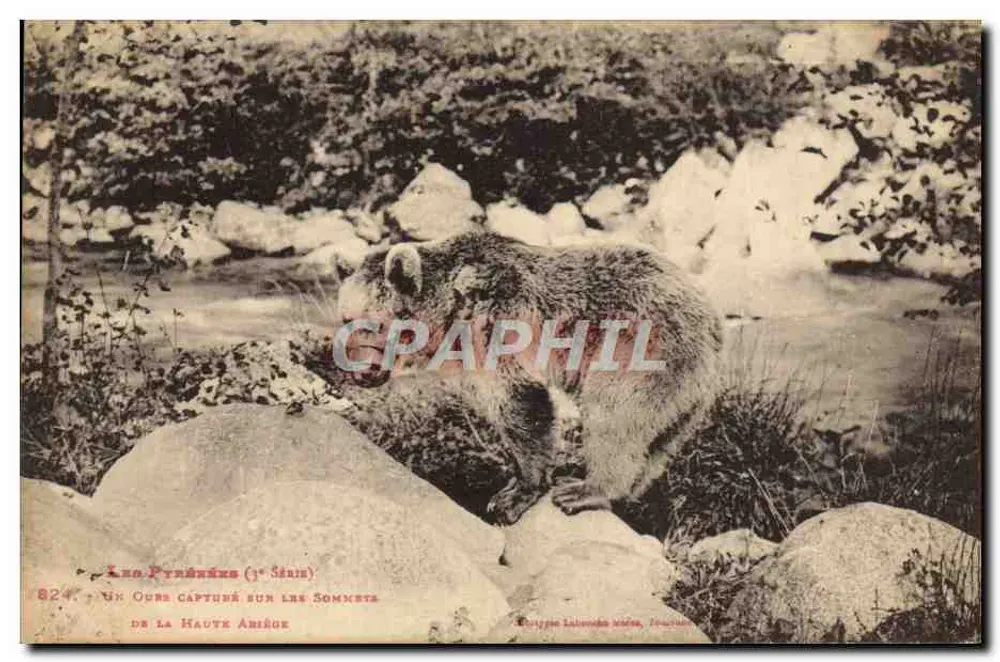 Ein Bär, gefangen auf den Gipfeln der Hoch Ariège — (1. Serie) — Verlag Labenche, Frankreich - Vorderseite