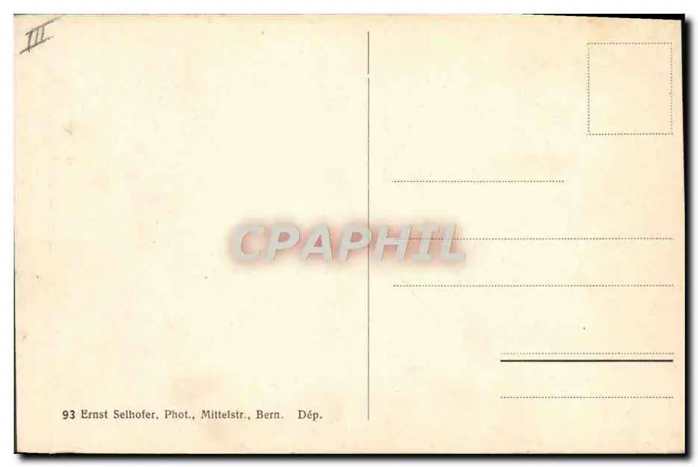 Bern — Der Bärengraben — Die jungen Bären — Ernst Selhofer - Rückseite
