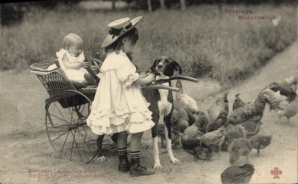 Bambini e cane con galline — Attelage Moderne - 3 - Recto
