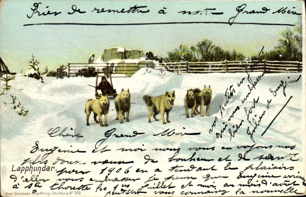Lapponia — cães de trenó no inverno — Axel Eliassons Konstförlag Stockholm N° 372 - Frente