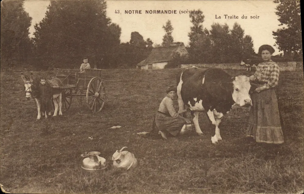 Abendmelken — Unsere Normandie (Szenen) — Editions H. Ermice - Vire, Nr. 43 - Vorderseite