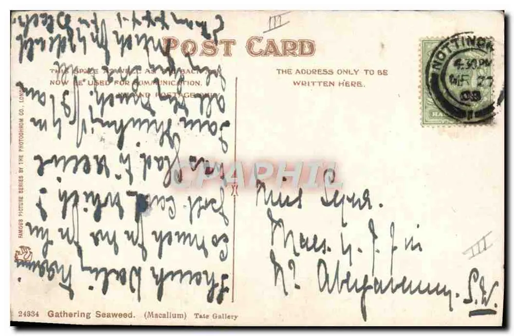 Recolhendo algas — (Macallum) Galeria Tate — Photocrom Co. Ltd. série 24834 - Verso