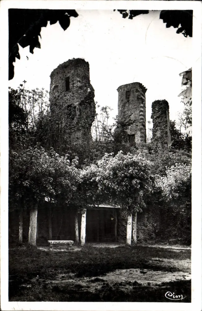 Ruínas de Montfort-l'Amaury — Torre de Ana da Bretanha — editor Réginière, Talmec - Frente
