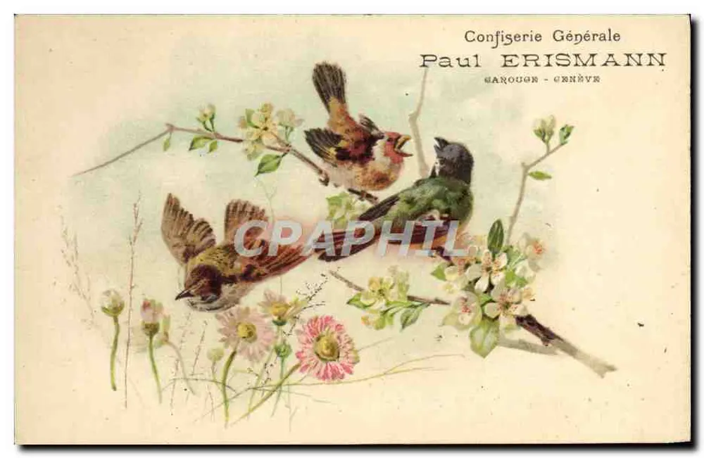 Vögel auf blühender Zweig — Confiserie Générale Paul ERISMANN, GAROUGE - GENÈVE - Vorderseite