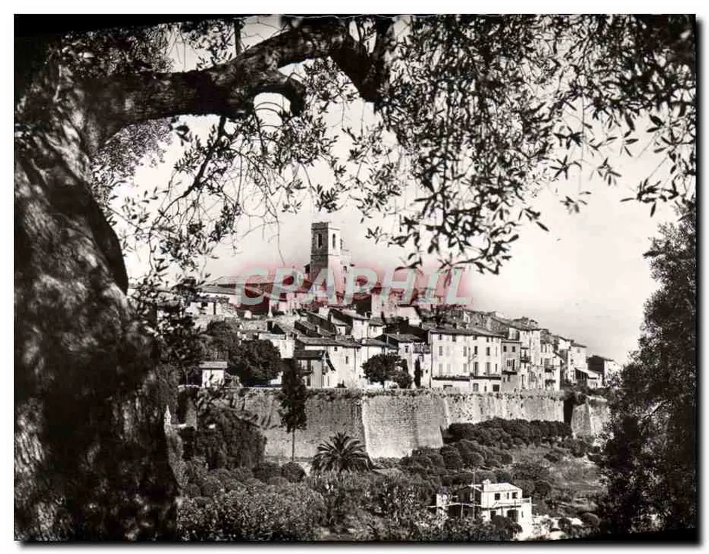 Saint-Paul (Alpes-Maritimes) — Aufnahme zwischen den Olivenbäumen — L. Gilletta & Cie, Fotograf in Nizza - Vorderseite