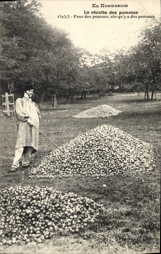 En Normandía — La recogida de manzanas — En Brochmans imp. Édit. Paris n°1515/3 - Anverso