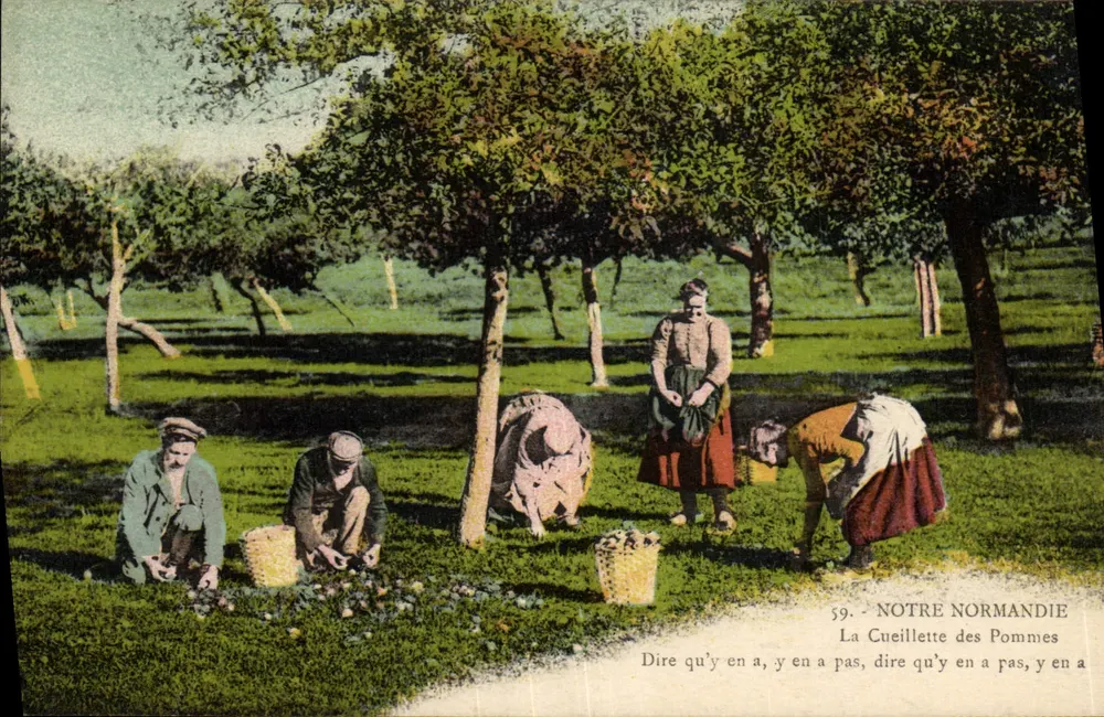 A Colheita de Maçãs — Notre Normandie — Édition H. Ermice, Vire - Frente